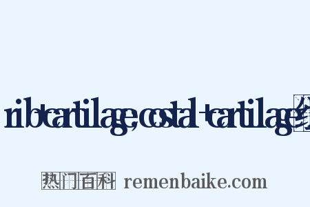 rib+cartilage;costal+cartilage组词是什么意思的图片